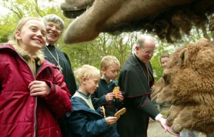 Zoo1